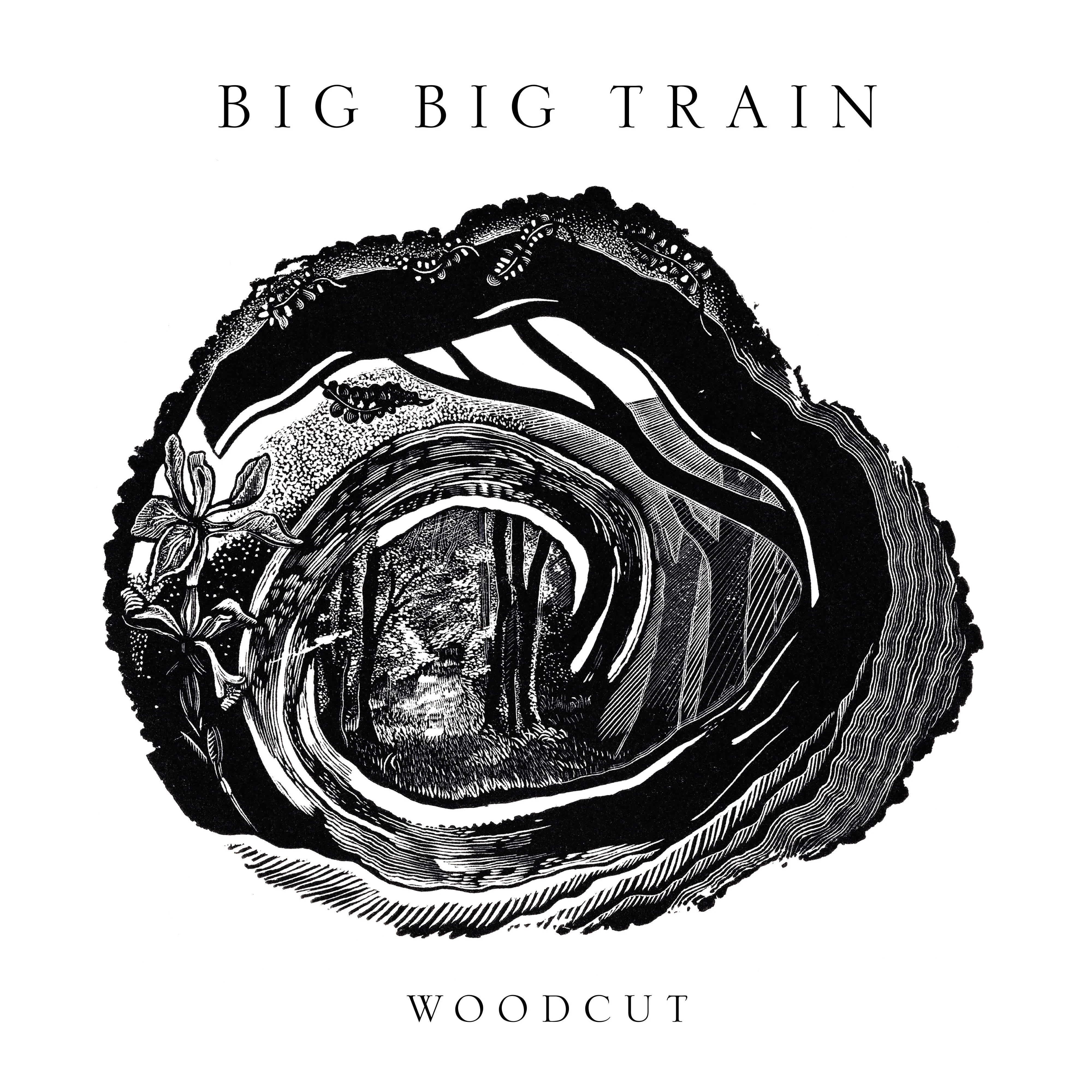 big-big-train_woodcut_cd(1).jpg